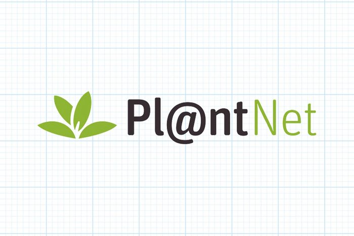 The Best Plant Identification Apps Plantnet