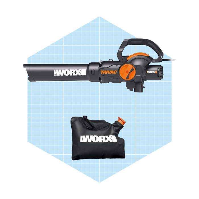 https://www.familyhandyman.com/wp-content/uploads/2023/09/Worx-Trivac-3-in-1-Electric-Leaf-Blower-Vacuum-Mulcher_ecomm_via-amazon.com_.jpg?fit=700%2C700