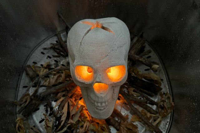 Fire Pit Skull in a Pit with Dried Leaves and Sticks