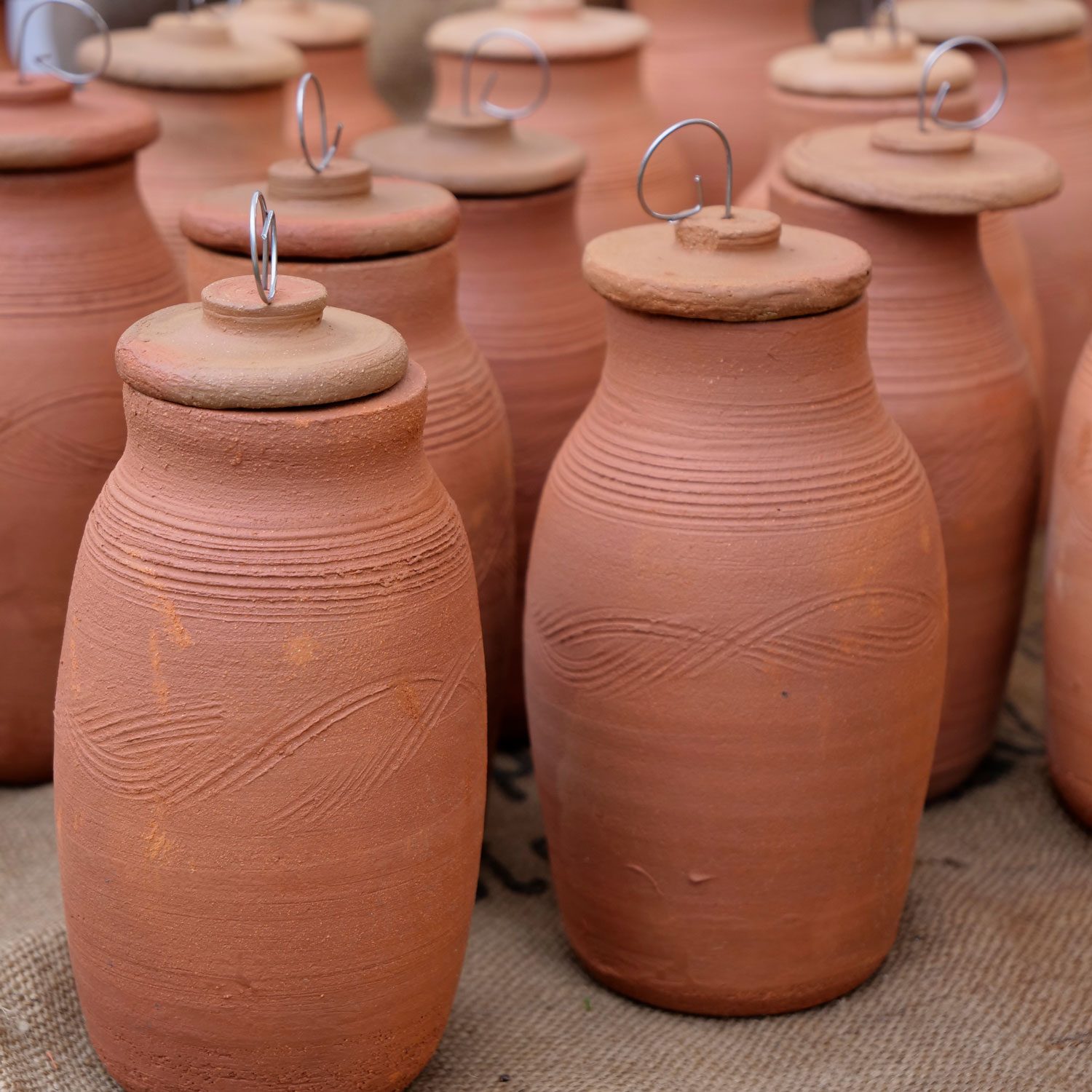 How to make a DIY olla terracotta watering pot