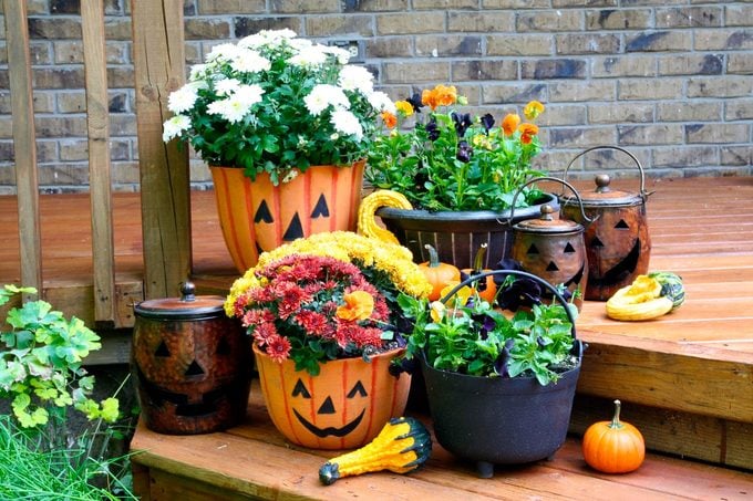 Fall Potted Plant Garden Arrangements with Various Fall Perennials potted in Autumn themed planters on a front porch of an unseen home
