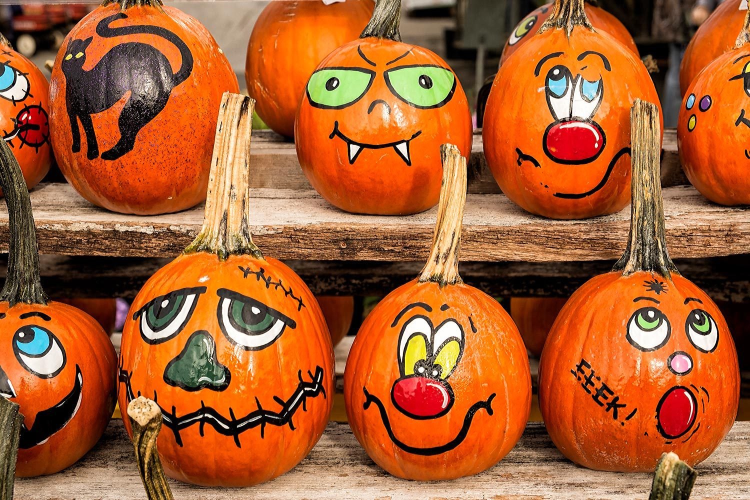 What's the Best Paint to Use for Pumpkins This Halloween?