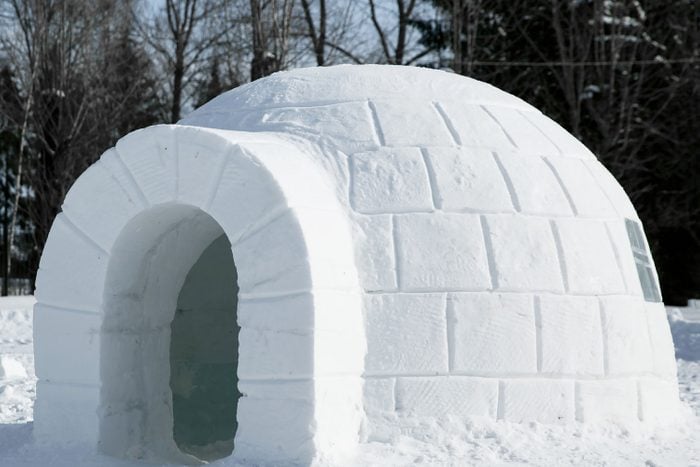 Icehouse Igloo, Made out of Compacted Snow and Ice, pictured in the winter season against a forest scene in a blue hue day