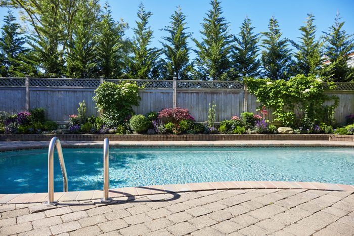 Backyard pool and garden