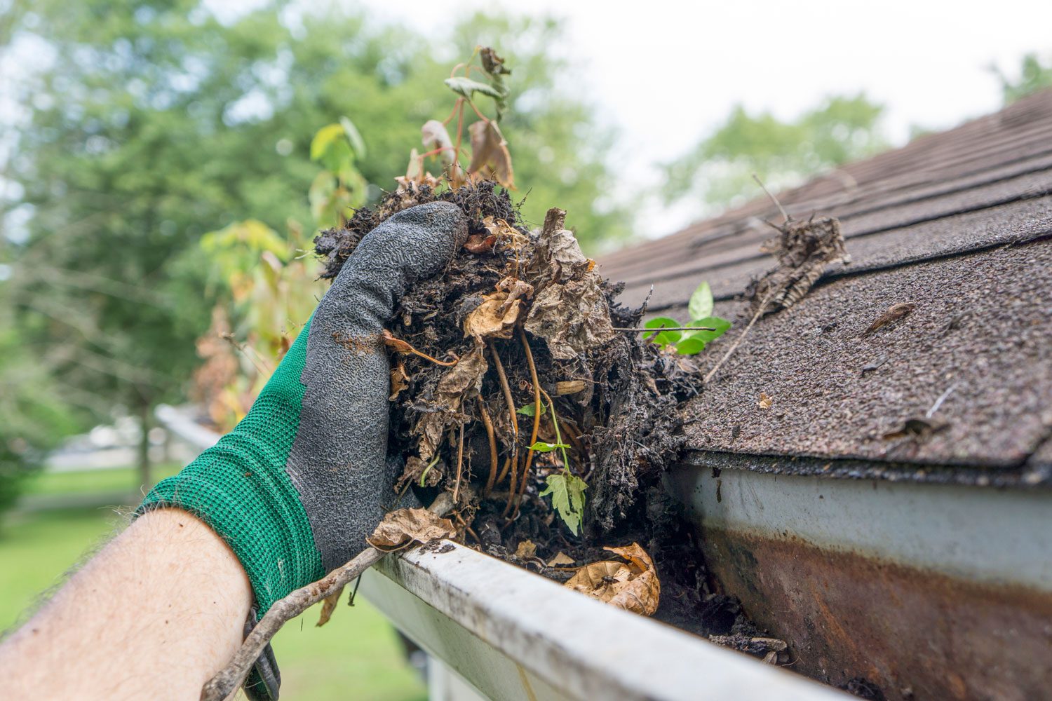 Cleaning Gutters with Gloved Hands During The Summer