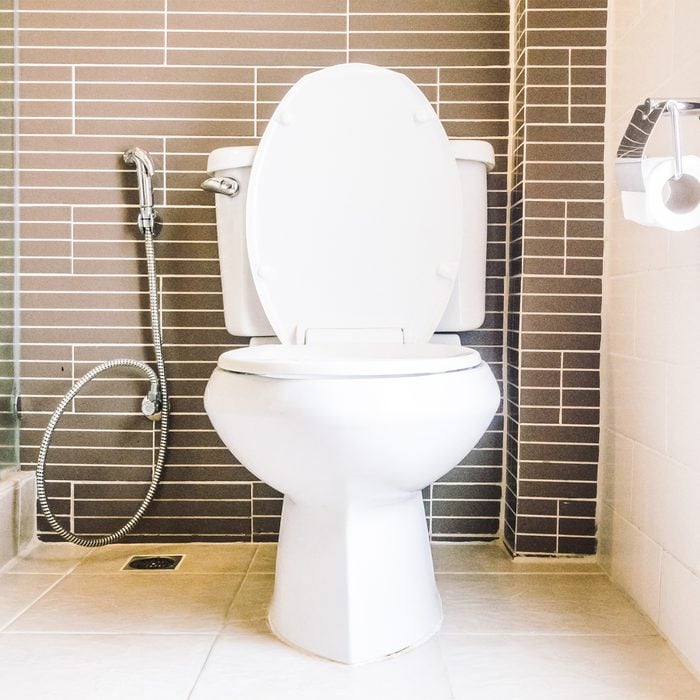 7 Toilet Flush Valve Types To Know Ft