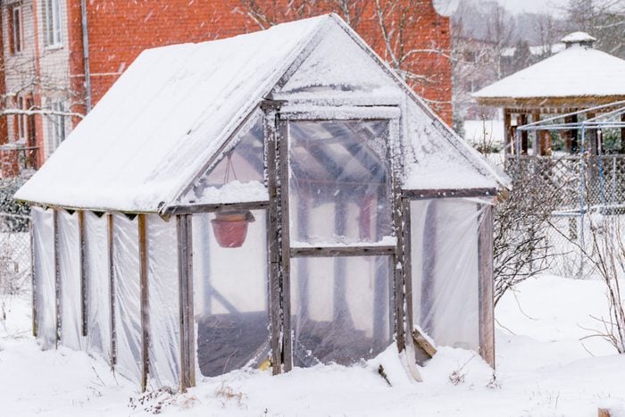 Prepping Your Snow covered Greenhouse For The Winter