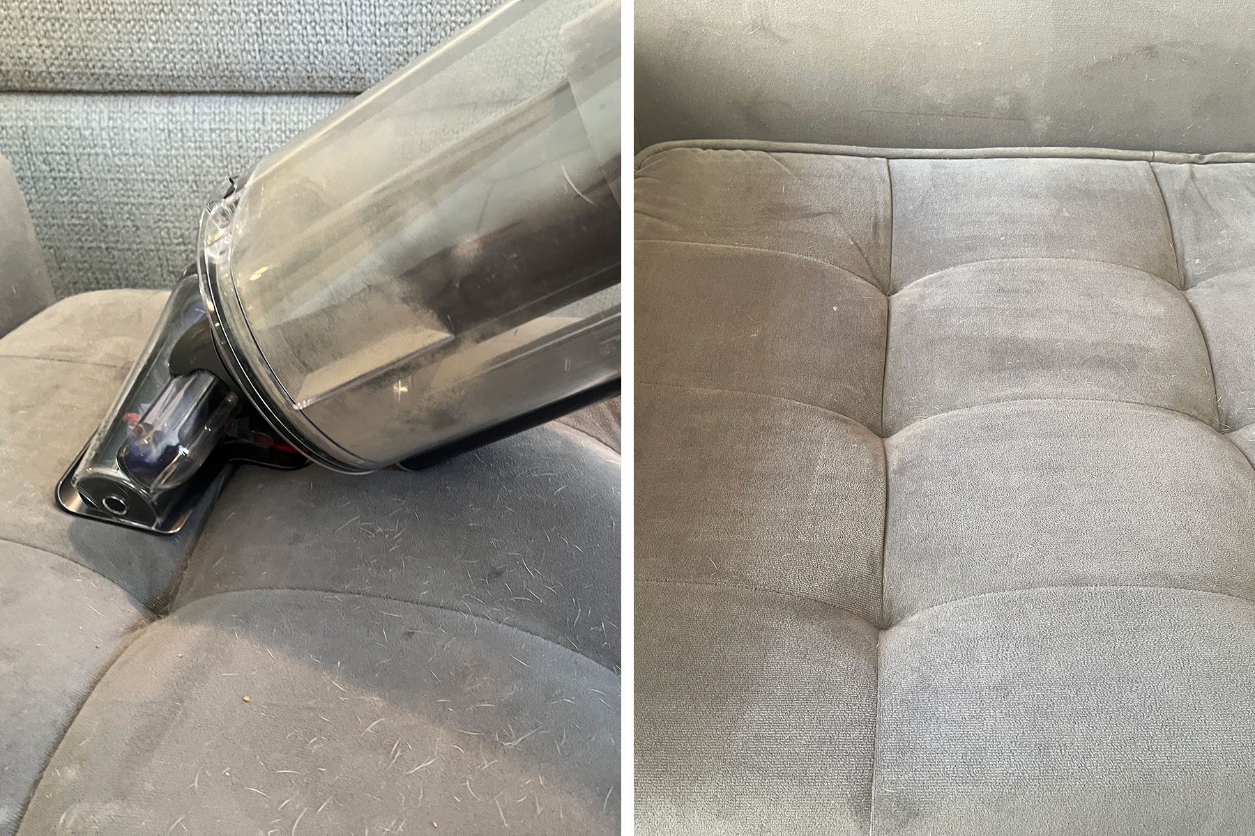 Dyson Outsize Plus dog bed before and after
