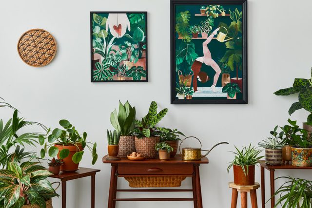 Stylish botany composition of home garden interior with wooden mock up poster frame, filled a lot of beautiful house plants, cacti, succulents in different design pots and floral accessories.