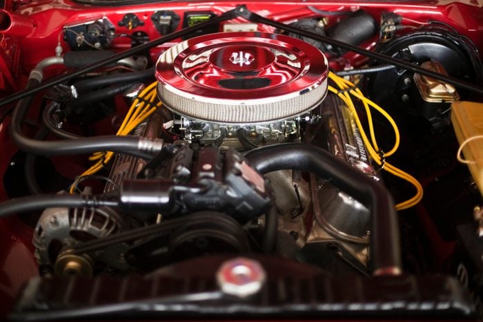 Well Maintained Engine Resting in a Car's Hood Area with the Hood Lifted Open to Expose the Clean, Supercharged Engine