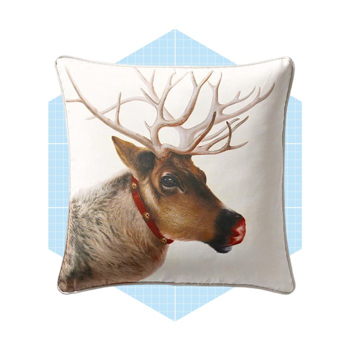 Reindeer Indoor Outdoor Pillow