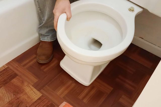 Setting the new toilet seat on floor