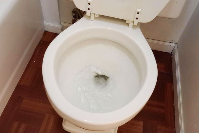 Testing the new toilet seat