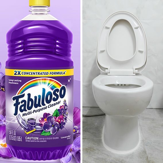 The Truth Behind the Fabric Softener in the Toilet Tank TikTok Hack