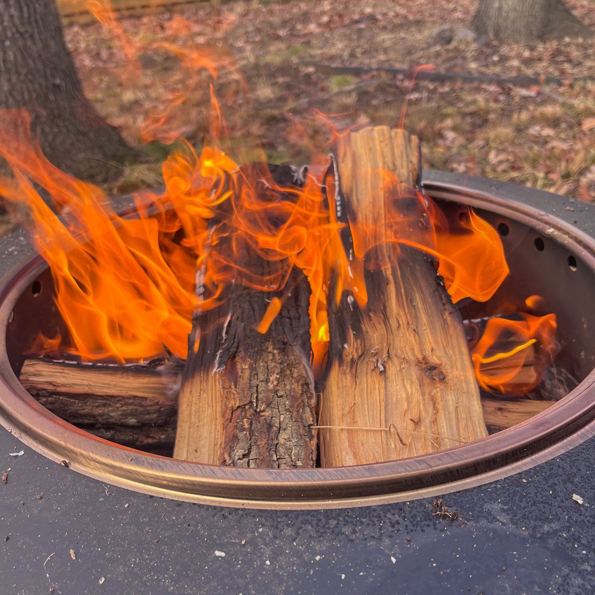 Cutting Edge Firewood testing
