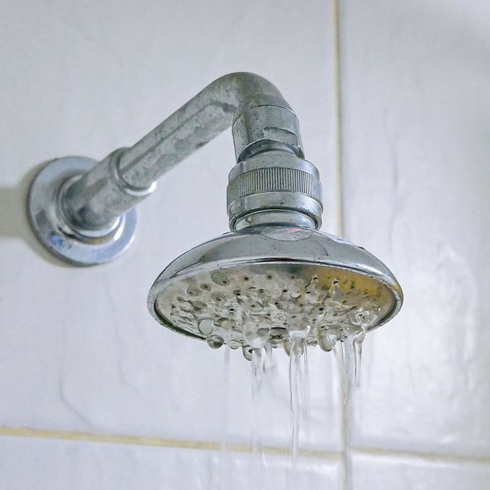 Close Up Of A Partly Clogged Shower Head In A Bathroom