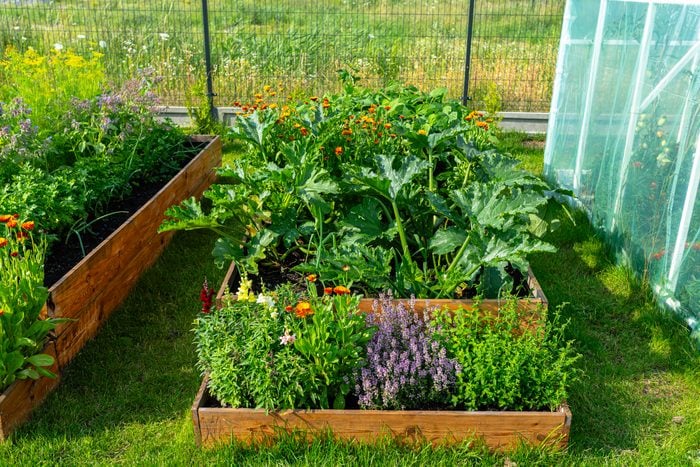 A wooden crate with various vegetables, standing on the grass in the garden.