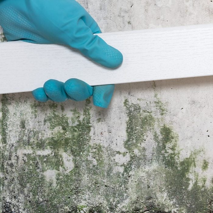 Person Placing Tiles On Moldy Wall