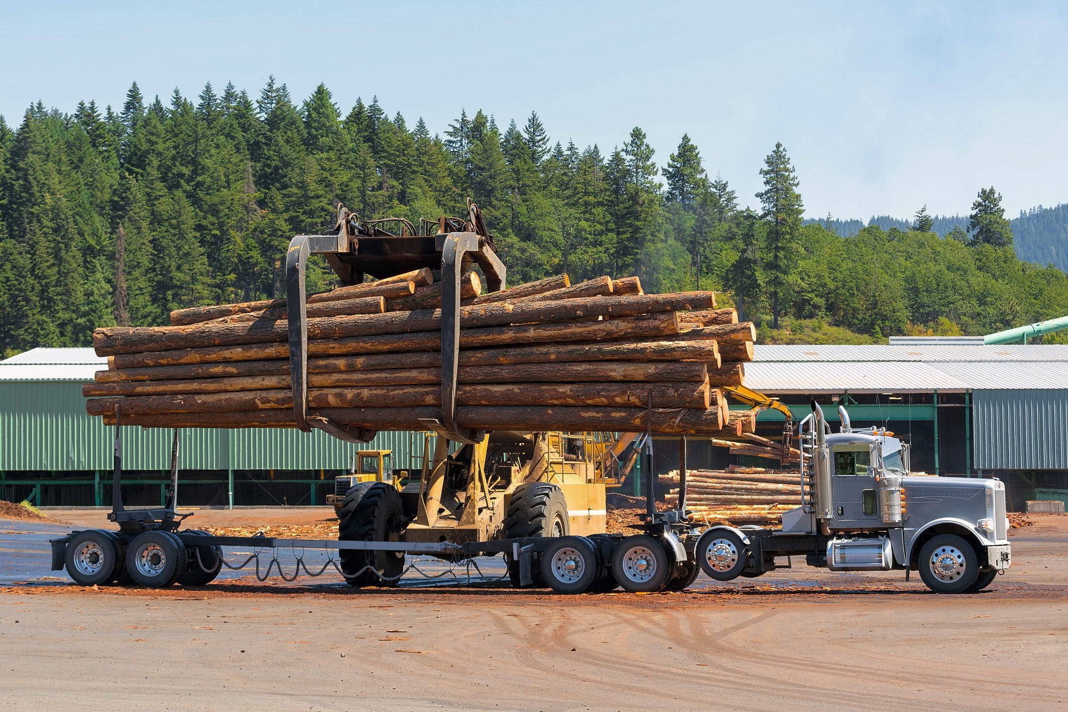 Sustainable wooden Logs unloading off semi truck at lumber yard