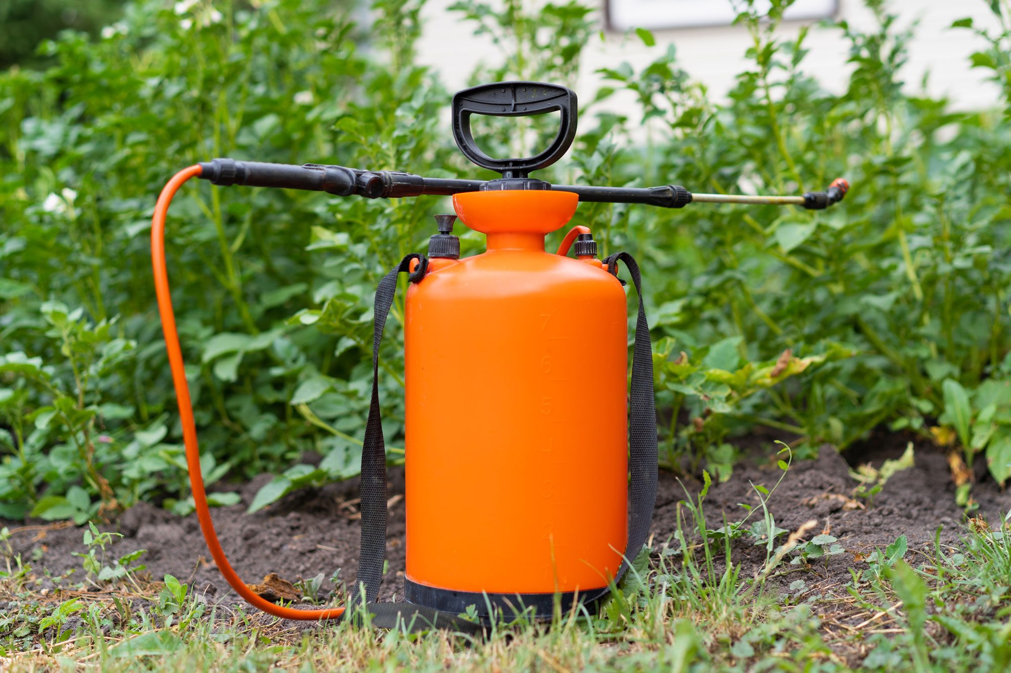 Domestic Pesticide Sprayer