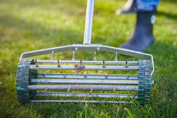 Picture of grass aerator on the green lawn