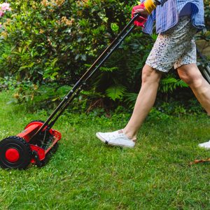 Start mowing lawn in the Spring
