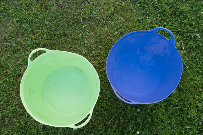 Large plastic buckets filled with fresh water.