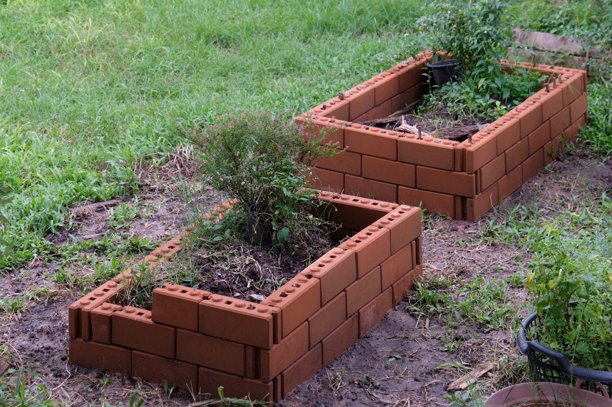 The DIY vegetable bed made from the brick