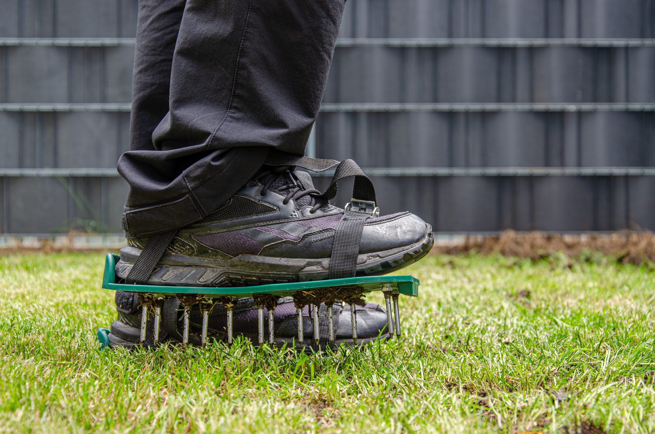 Close-up of lawn aerating shoes with metal spikes