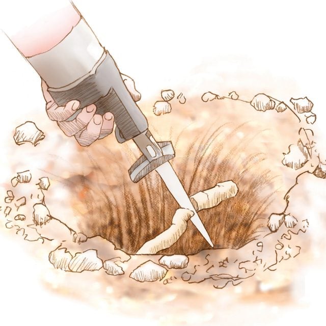 Cut Large Roots With A Reciprocating Saw
