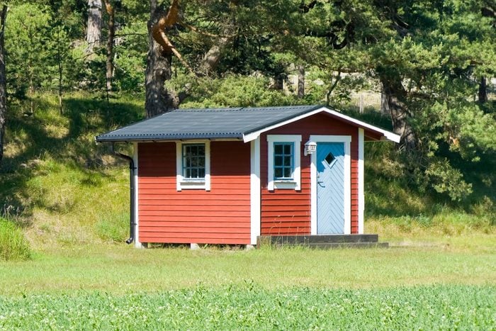 red shed turned into a tiny home in a spacious grassy backyard with a forest behind it